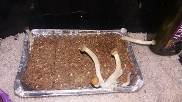 20161203_103940.jpg
