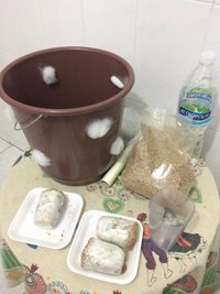 3a - itens pra preparo do terrário e bolos.jpg