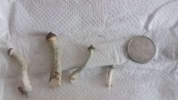 20161203_143950.jpg