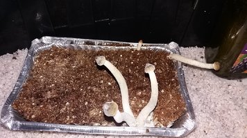 20161204_123812.jpg