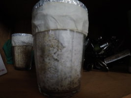 GOPR0370.JPG GOPR0370.JPG