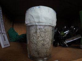 GOPR0373.JPG GOPR0373.JPG