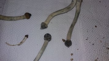 20161205_141655.jpg