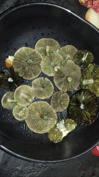20161207_130153[1].jpg