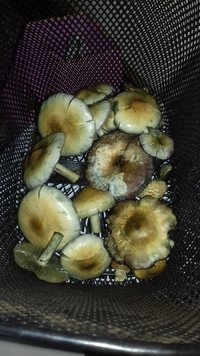 20161207_131702[1].jpg