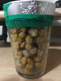 63IMG_1130.JPG