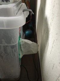 IMG_1251.JPG