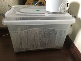 IMG_1252.JPG