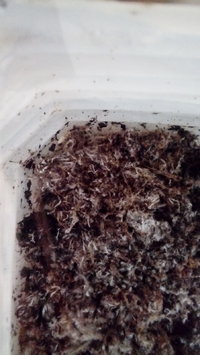 20161218_102649.jpg