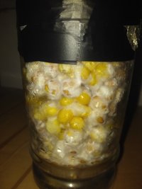 20161204_102135.jpg
