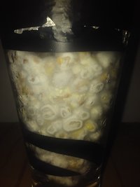 copo 1.jpg