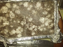 20161218_203625.jpg