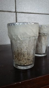 20161221_112706.jpg