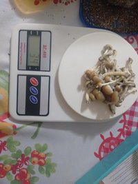 IMG_20161224_240759795.jpg