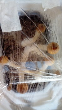 20161226_121911.jpg