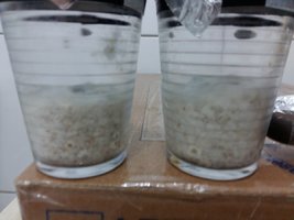 20161230_061028.jpg