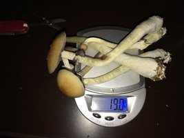 IMG_1763.JPG