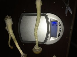 IMG_1764.JPG