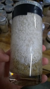 WP_20170103_010.jpg