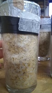 WP_20170103_013.jpg