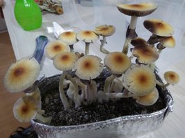 casing 3-3.jpg