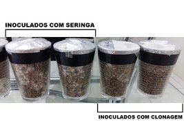 20170105_074313.jpg