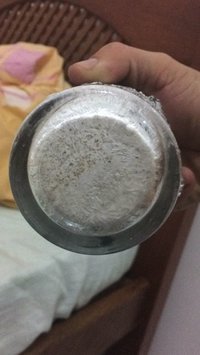 pote_1_23_dias.jpg