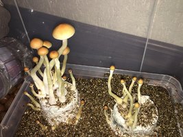 IMG_1797.JPG