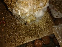 IMG_20170107_185322378.jpg