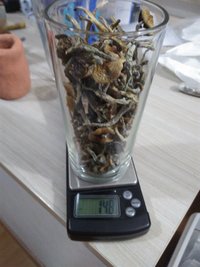 14.8.jpg