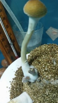 20170110_022855.jpg