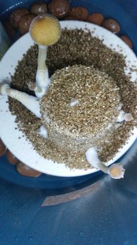 20170110_023040.jpg