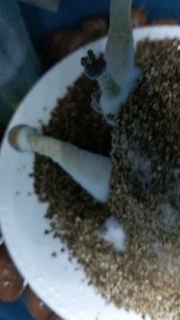 20170110_023050.jpg