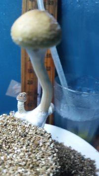 20170110_023131.jpg