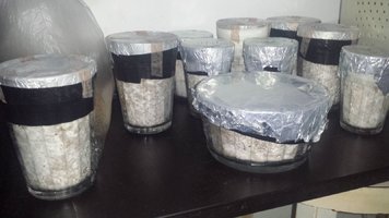 cakes.jpg
