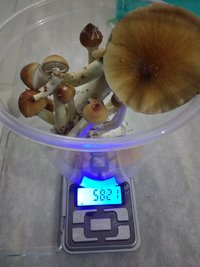 IMG_20170111_233919304.jpg