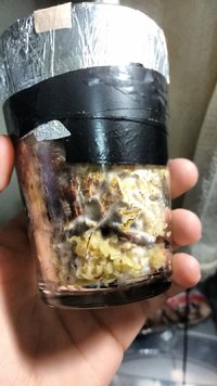 IMG_20170114_224053064.jpg
