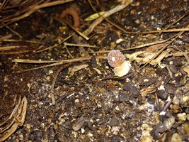 IMG_20170114_181349.jpg