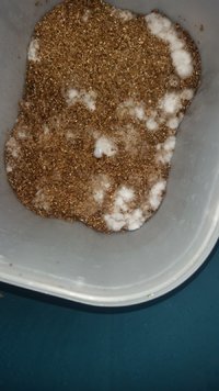 20170119_090655.jpg