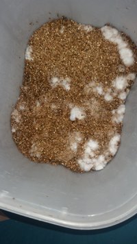 20170119_090650.jpg