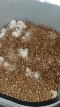20170119_090603.jpg