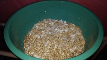 IMG_20170113_175751078.jpg