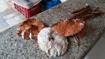 20170124_191257.jpg