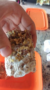 IMG_20170131_141013745.jpg