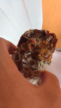 IMG_20170131_140948849.jpg
