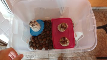 IMG_20170131_140919079.jpg