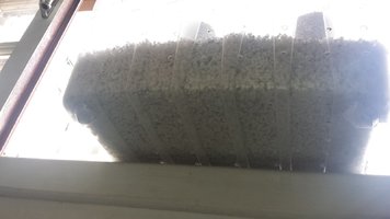 20170116_171623.jpg