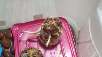 IMG_20170203_242340730.jpg