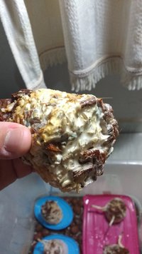 IMG_20170203_242419827.jpg