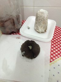2f - seccionando o chapéu pra carimbar.JPG